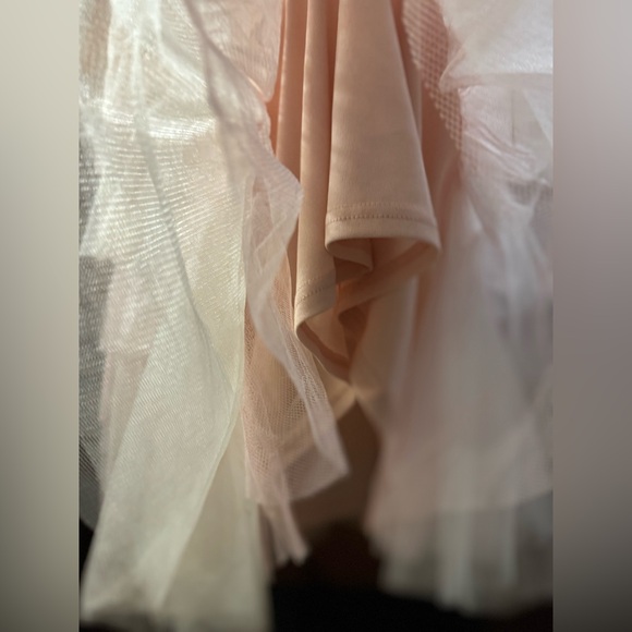 Light pink tulle long skirt - Picture 6 of 8